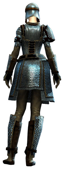 File:Heavy Scale armor human female back.jpg