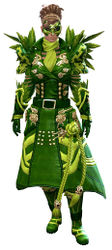 Trickster's armor norn female front.jpg