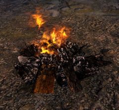 Campfire (Heretic Plain).jpg