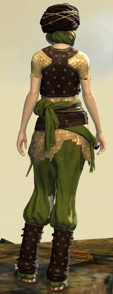 File:Corsair armor (medium) human female back.jpg