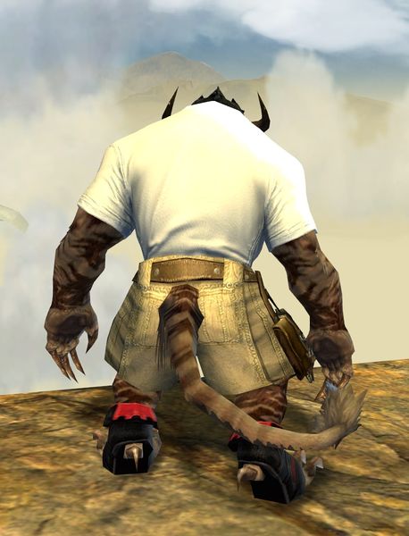 File:Dragon Emblem Clothing Outfit charr male back.jpg
