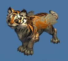 Mini Orange Tigris Cub.jpg
