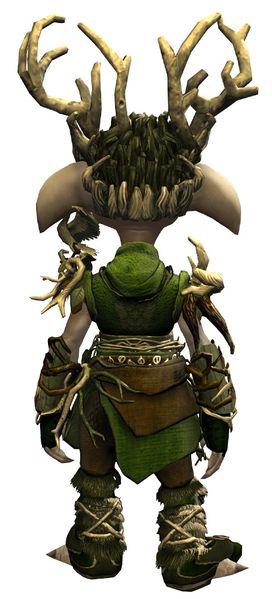 File:Nature's Oath Outfit asura male back.jpg
