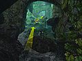 2. Run into the cave entrance and jump into the hole in the wall directly ahead.