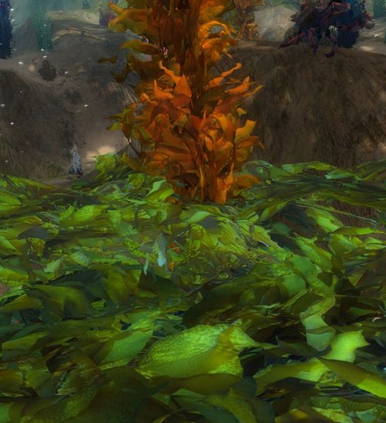 File:Unnamed Object (Benthic Kelp Beds).jpg