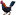 User Magamdy Chicken 1.jpg