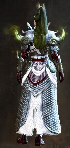 File:Divine Conqueror Outfit norn female back.jpg