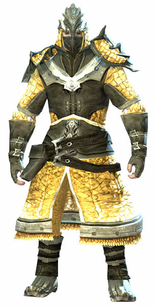 File:Emblazoned armor norn male front.jpg
