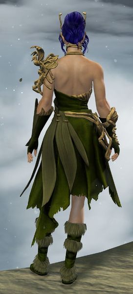 File:Nature's Oath Outfit norn female back.jpg