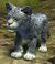 Snow Leopard Cub.jpg