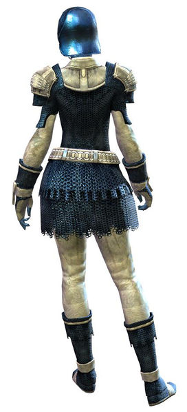 File:Worn Chain armor sylvari female back.jpg