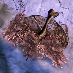 Plush Griffon Nest.jpg