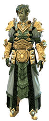 Armor of Koda (light) sylvari male front.jpg