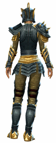 File:Heritage armor (heavy) norn female back.jpg