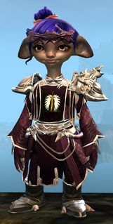 Ornate Guild armor (light) asura female front.jpg