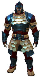 Splint armor norn male front.jpg