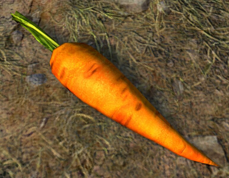 File:Tasty Carrot (object).jpg