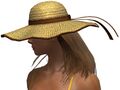 The hat from the side on a humanoid/asura female.