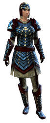 Reinforced Scale armor norn female front.jpg