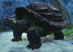 Siege Turtle (NPC).jpg
