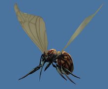 Mini Mosquito.jpg