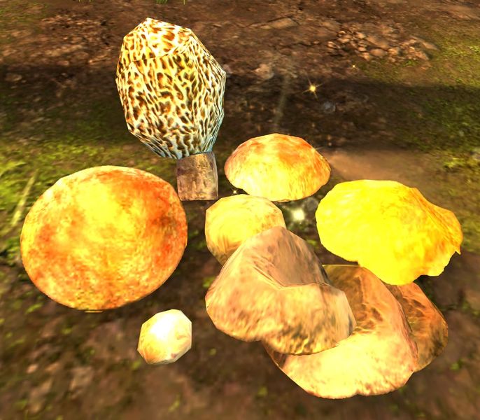 File:Mushrooms.jpg