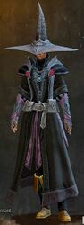 Astral Ward armor norn female front.jpg