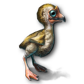 Mini Moa Chick icon.png