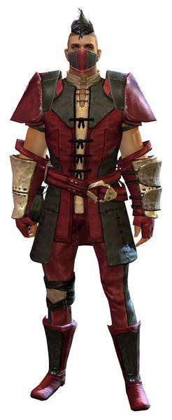 File:Rawhide armor human male front.jpg