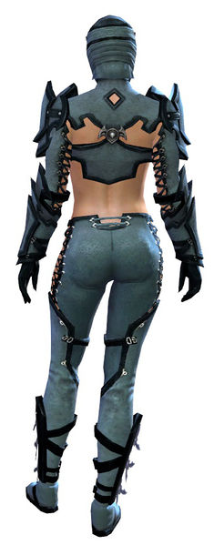 File:Sneakthief armor norn female back.jpg