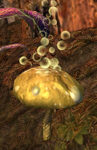 Bubbly Mushroom.jpg