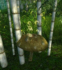Bubbly Mushroom.jpg