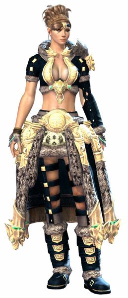 File:Havroun armor norn female front.jpg