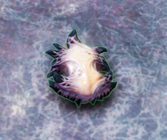 Shattered Kryptis Carapace.PNG