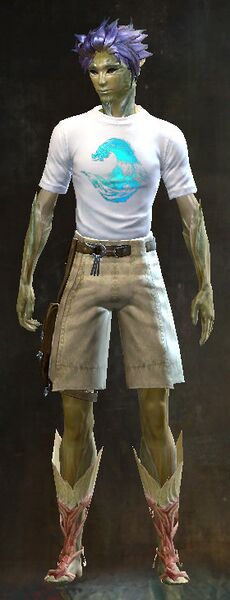 File:End of Dragons Emblem Clothing Outfit sylvari male front.jpg