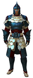 Splint armor human male front.jpg
