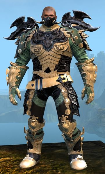 File:Triumphant Hero's armor (medium) norn male front.jpg