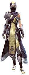 Inquest armor (medium) human female front.jpg