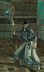 Purist Ritualist (male).jpg