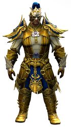 Triumphant Hero's armor (light) norn male front.jpg