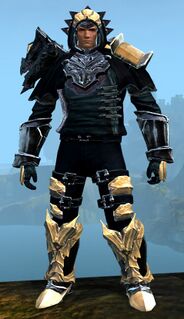 Perfected Envoy armor (medium) norn male front.jpg