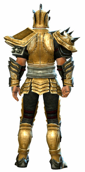 File:Heritage armor (heavy) human male back.jpg