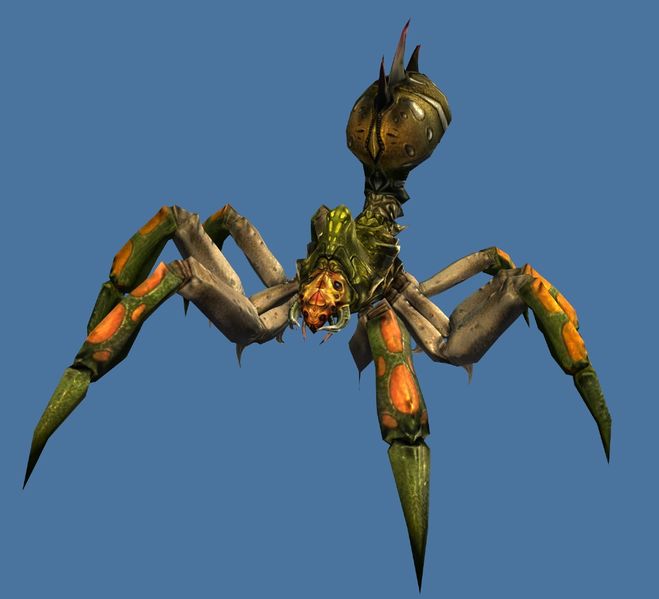 File:Mini Forest Spider.jpg