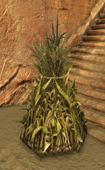 File:Bundle of Corn Stalks.jpg