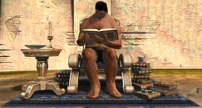 File:Comfortable Reading Chair norn male.jpg
