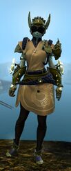 Ancient Ritualist armor sylvari female front.jpg