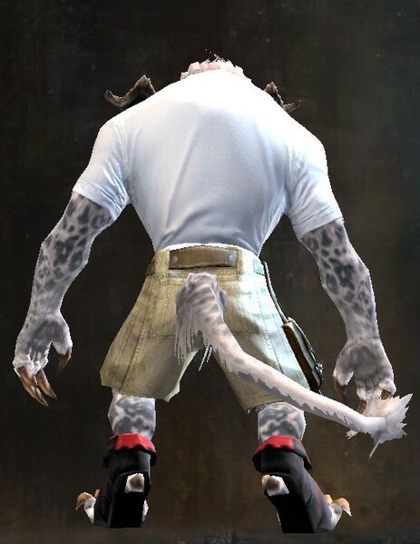 File:End of Dragons Emblem Clothing Outfit charr male back.jpg