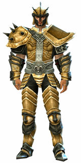 Heritage armor (heavy) human male front.jpg