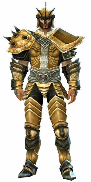 File:Heritage armor (heavy) human male front.jpg