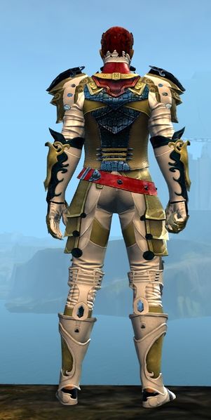 File:Triumphant armor (medium) human male back.jpg